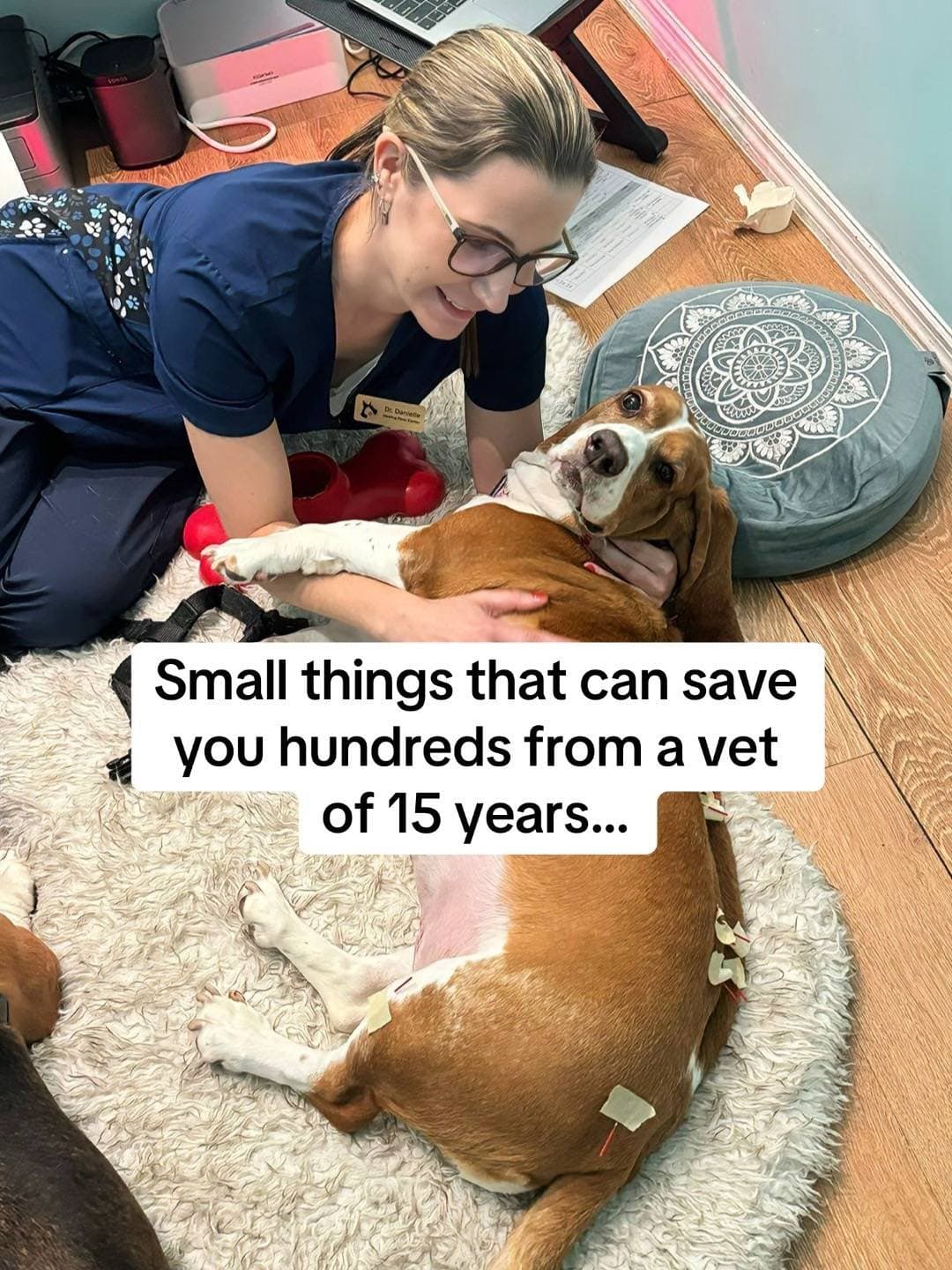 Small things that can save
you hundreds from a vet
of 15 years...