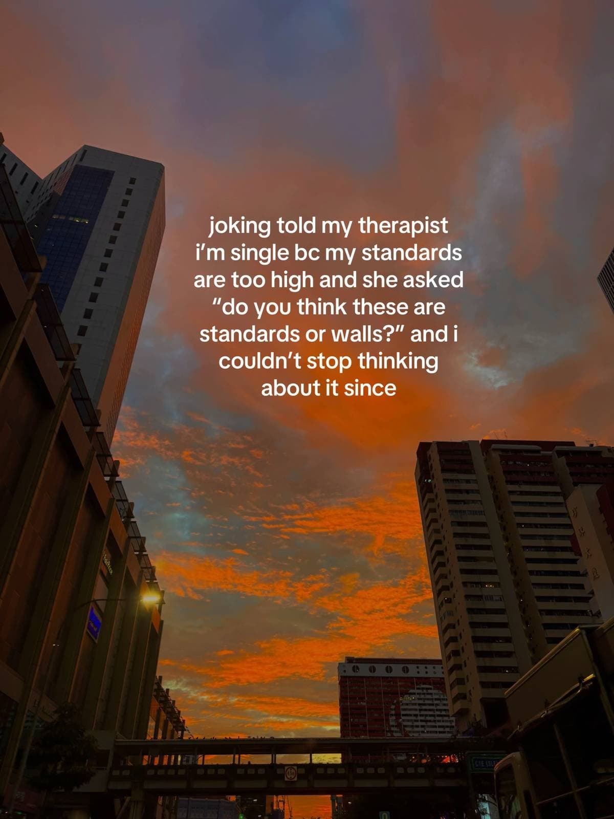 joking told my therapist
i’m single bc my standards
are too high and she asked
“…