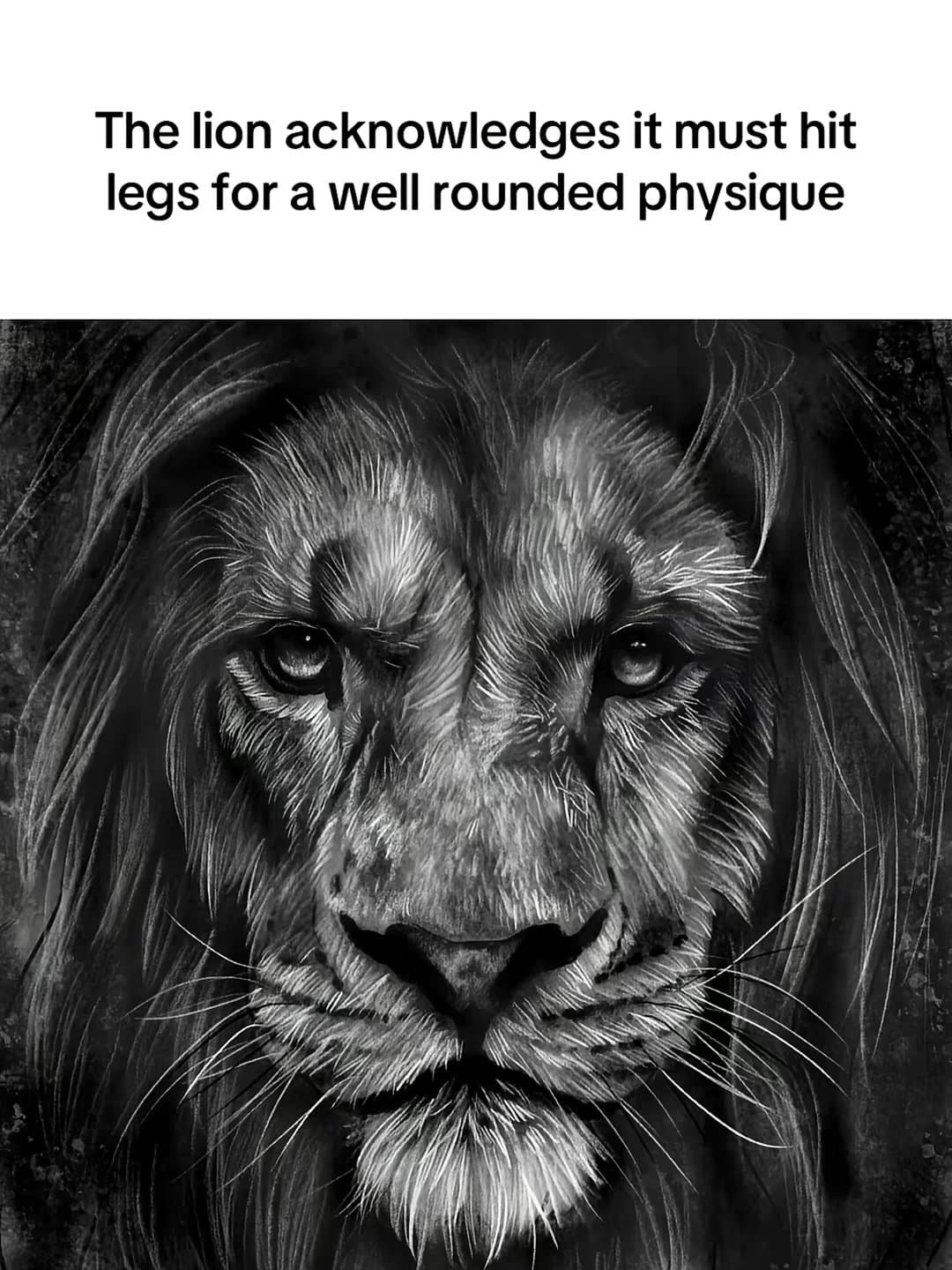 The lion acknowledges it must hit
legs for a well rounded physique

