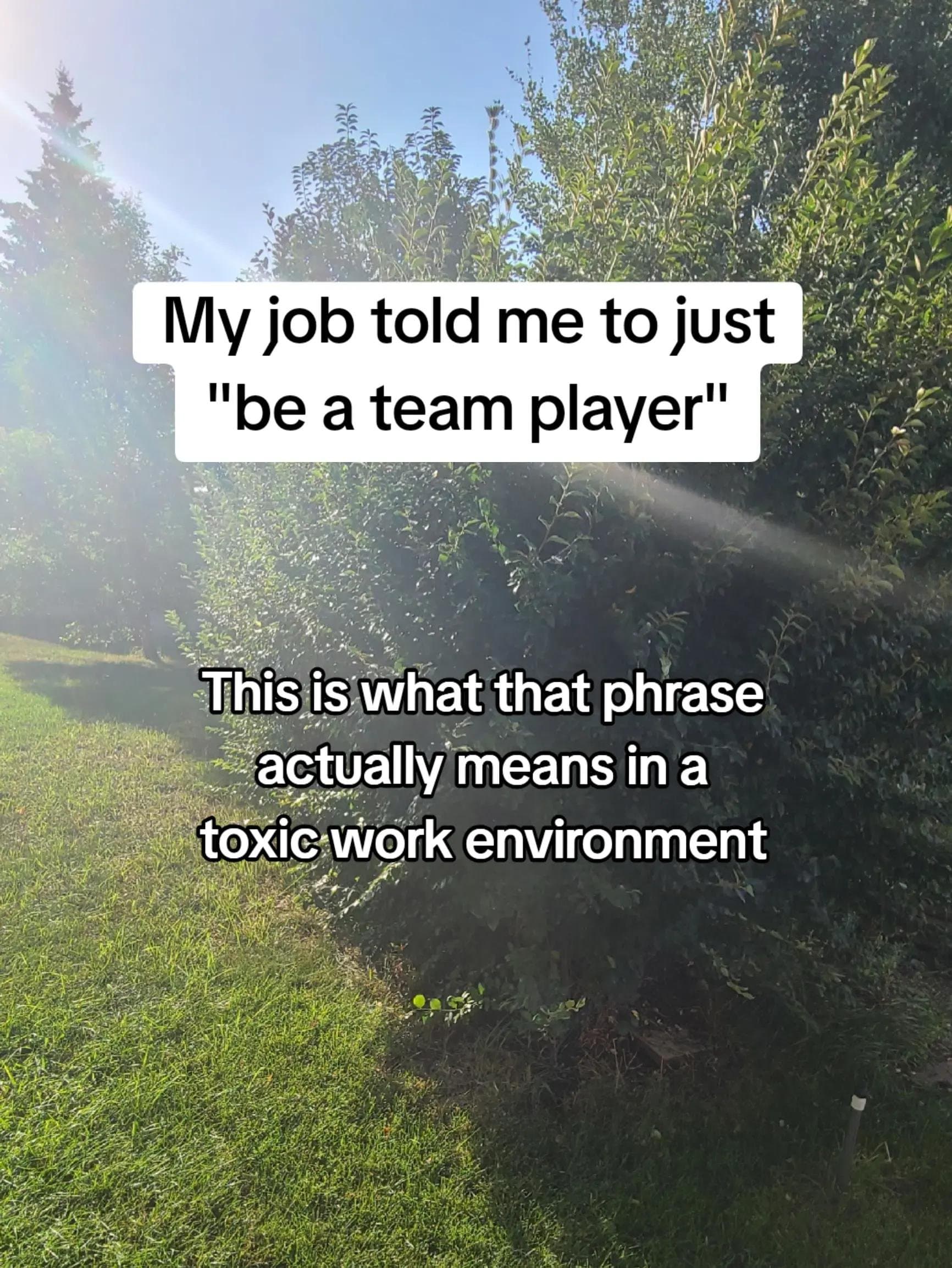 My job told me to just
"be a team player"

This is what that phrase
actually mea…
