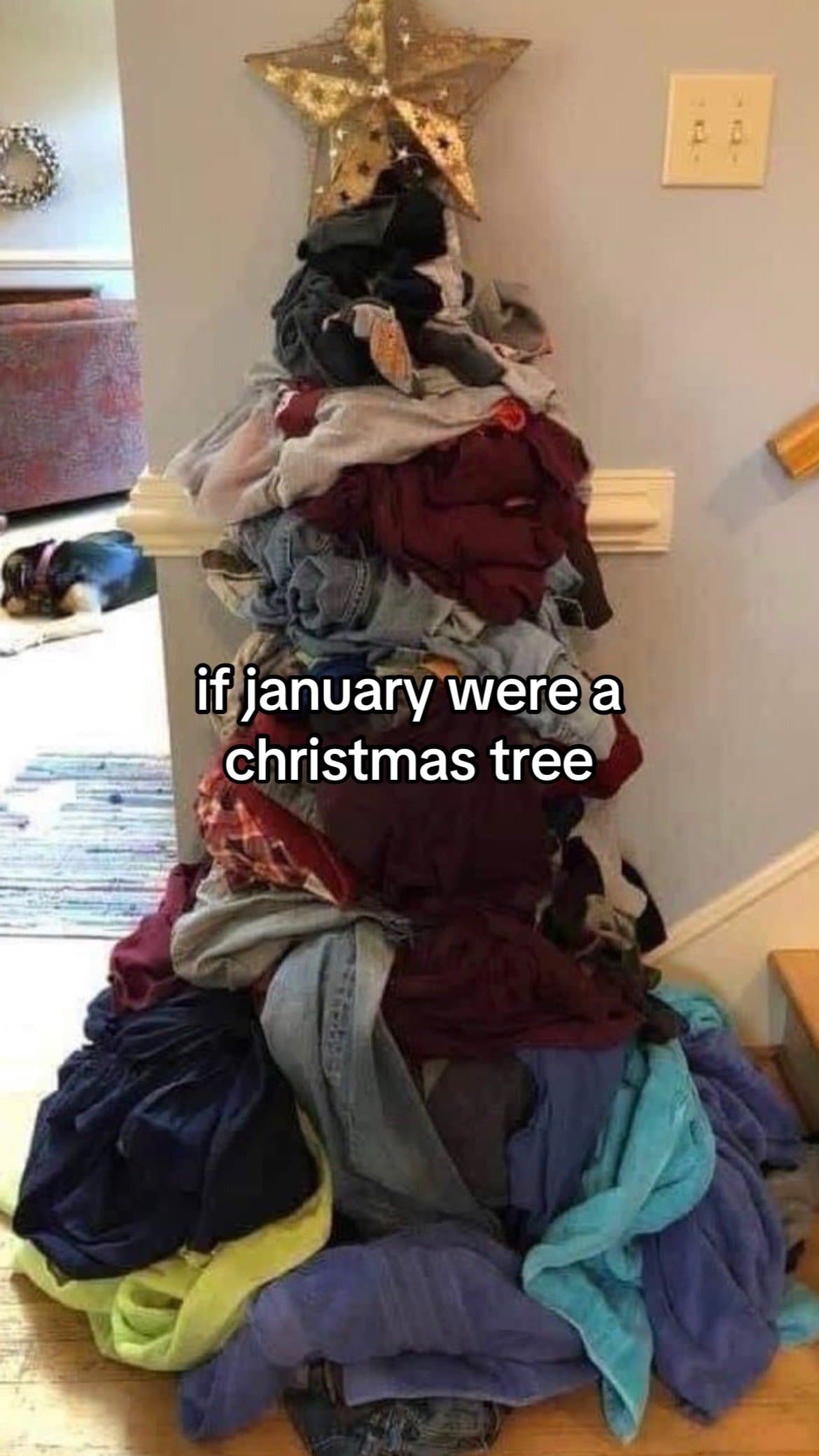 if january were a 
christmas tree