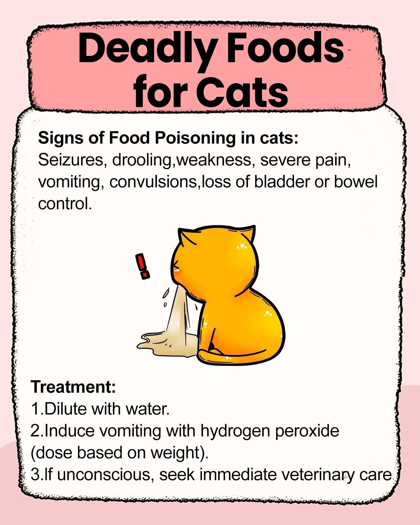 Deadly Foods
for Cats

Signs of Food Poisoning in cats:
Seizures, drooling, weak…