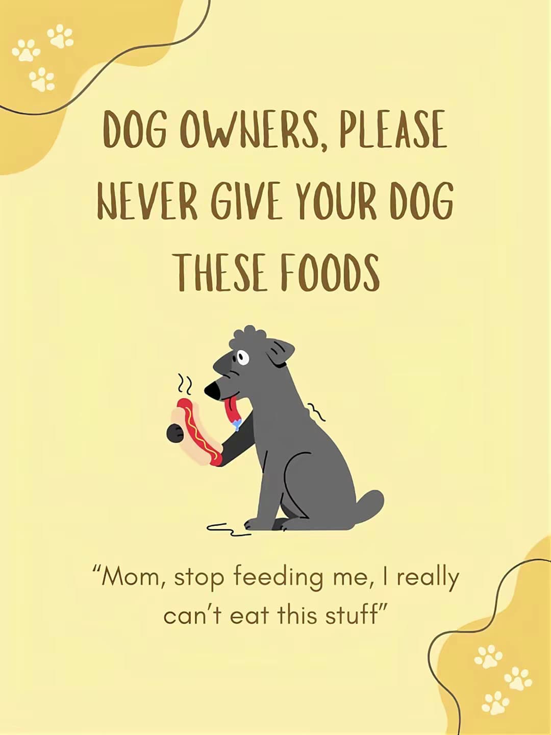 DOG OWNERS, PLEASE
NEVER GIVE YOUR DOG
THESE FOODS
"Mom, stop feeding me, I real…