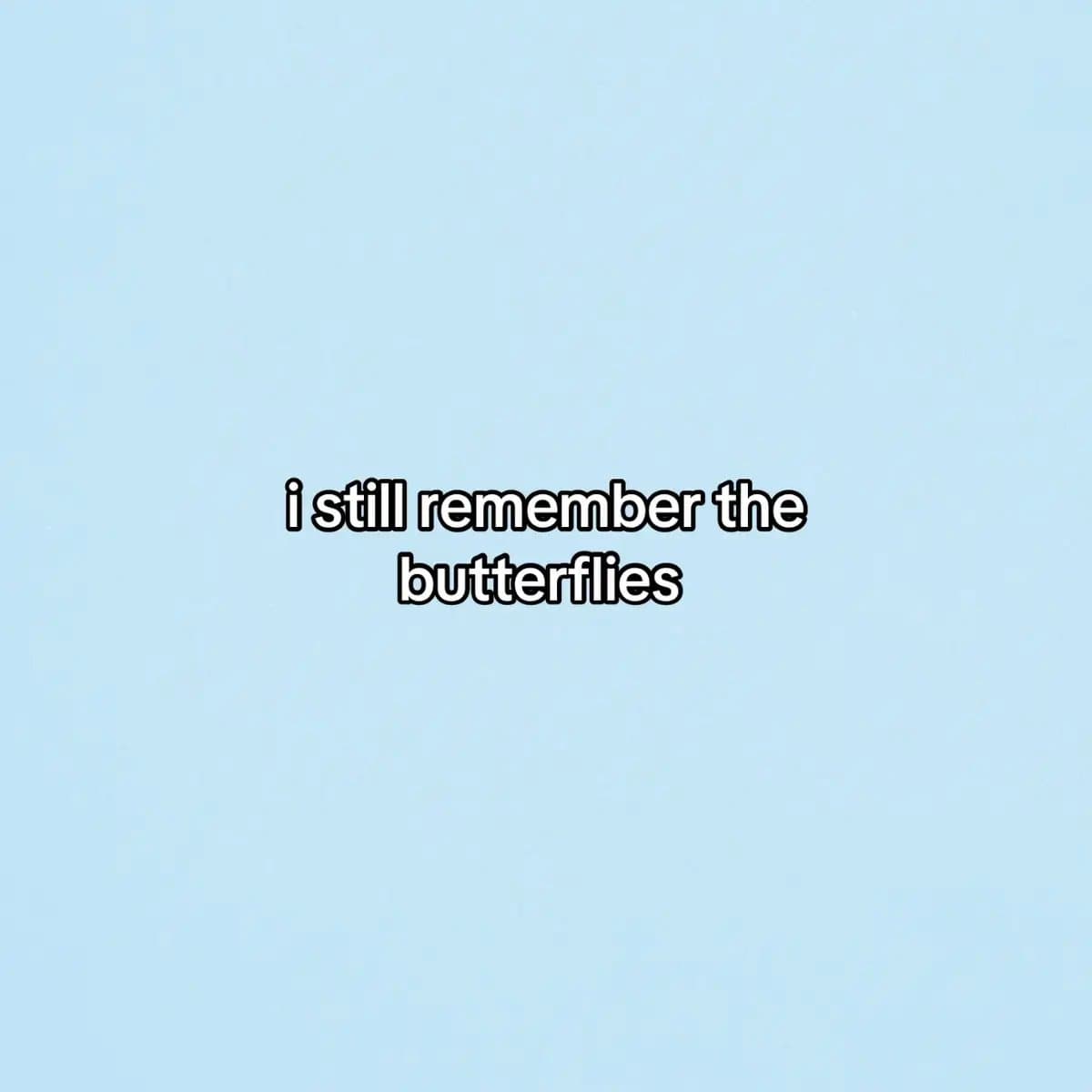 i still remember the
butterflies