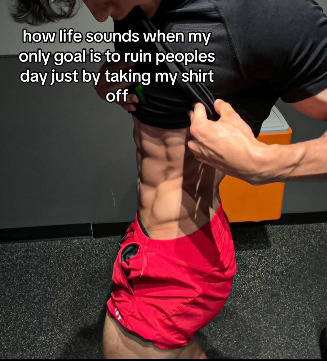 how life sounds when my
only goal is to ruin peoples
day just by taking my shirt…