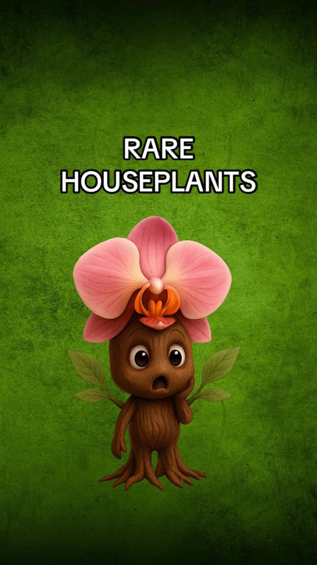 RARE HOUSEPLANTS
