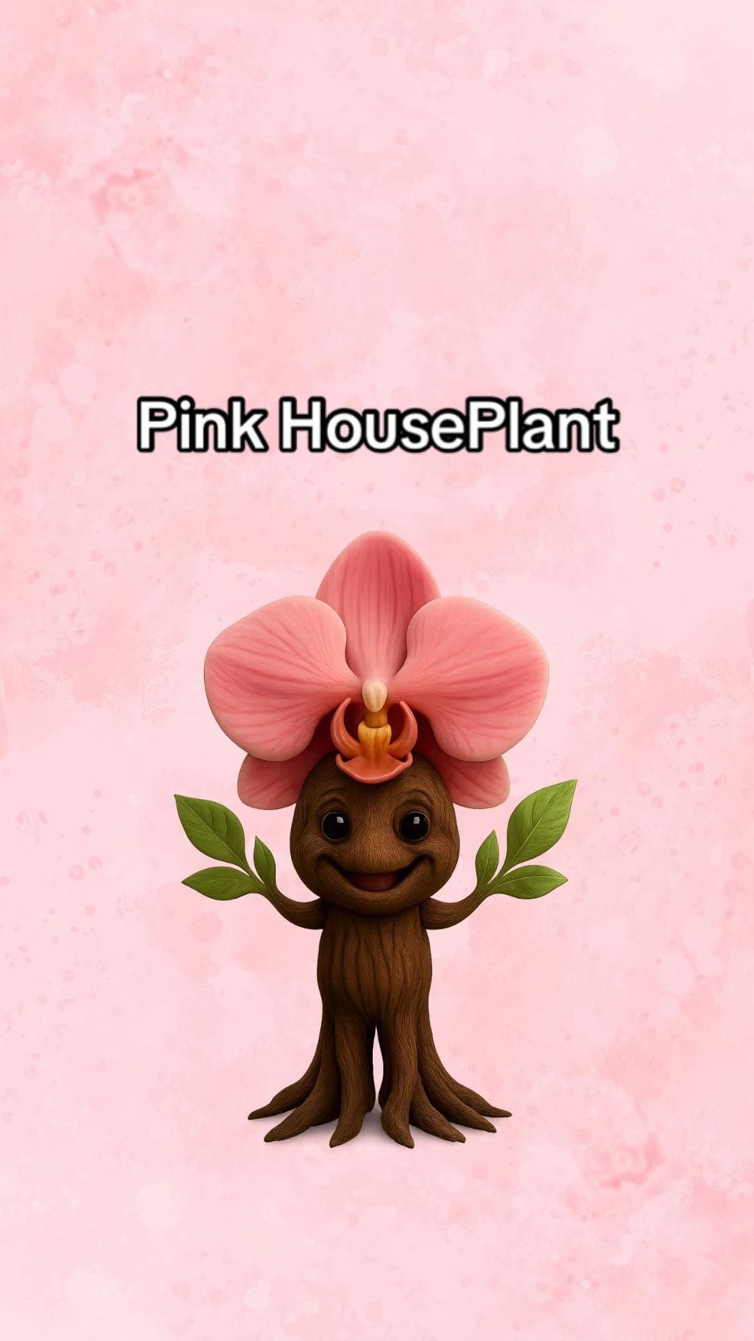 Pink HousePlant