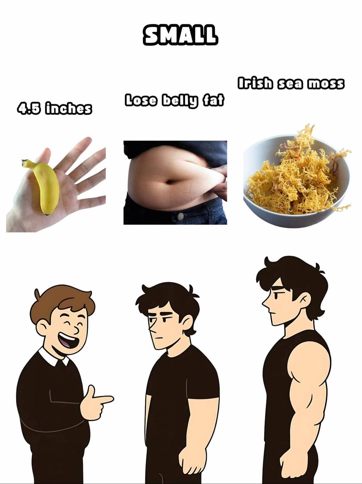 SMALL
4.5 inches
Lose belly fat
Irish sea moss