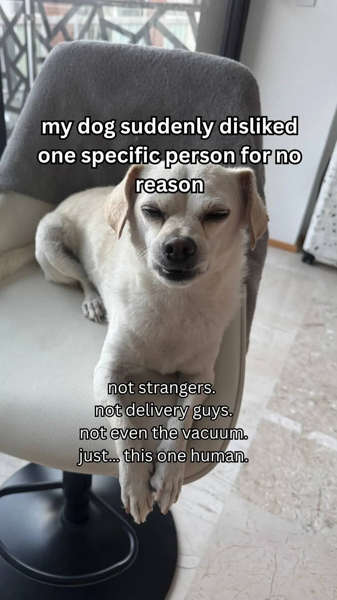 my dog suddenly disliked 
one specific person for no 
reason

not strangers.
not…