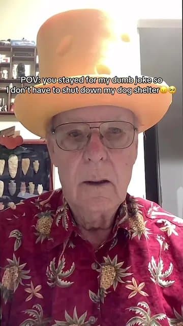 POV: you stayed for my dumb joke so
I don't have to shut down my dog shelter 😖�…