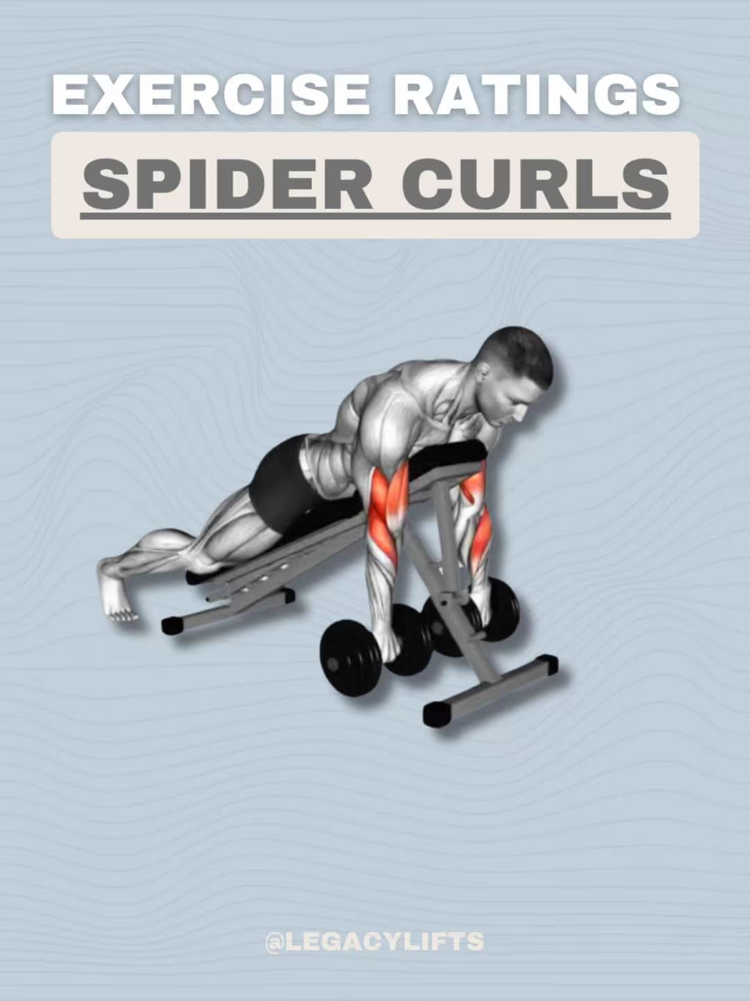 EXERCISE RATINGS
SPIDER CURLS
