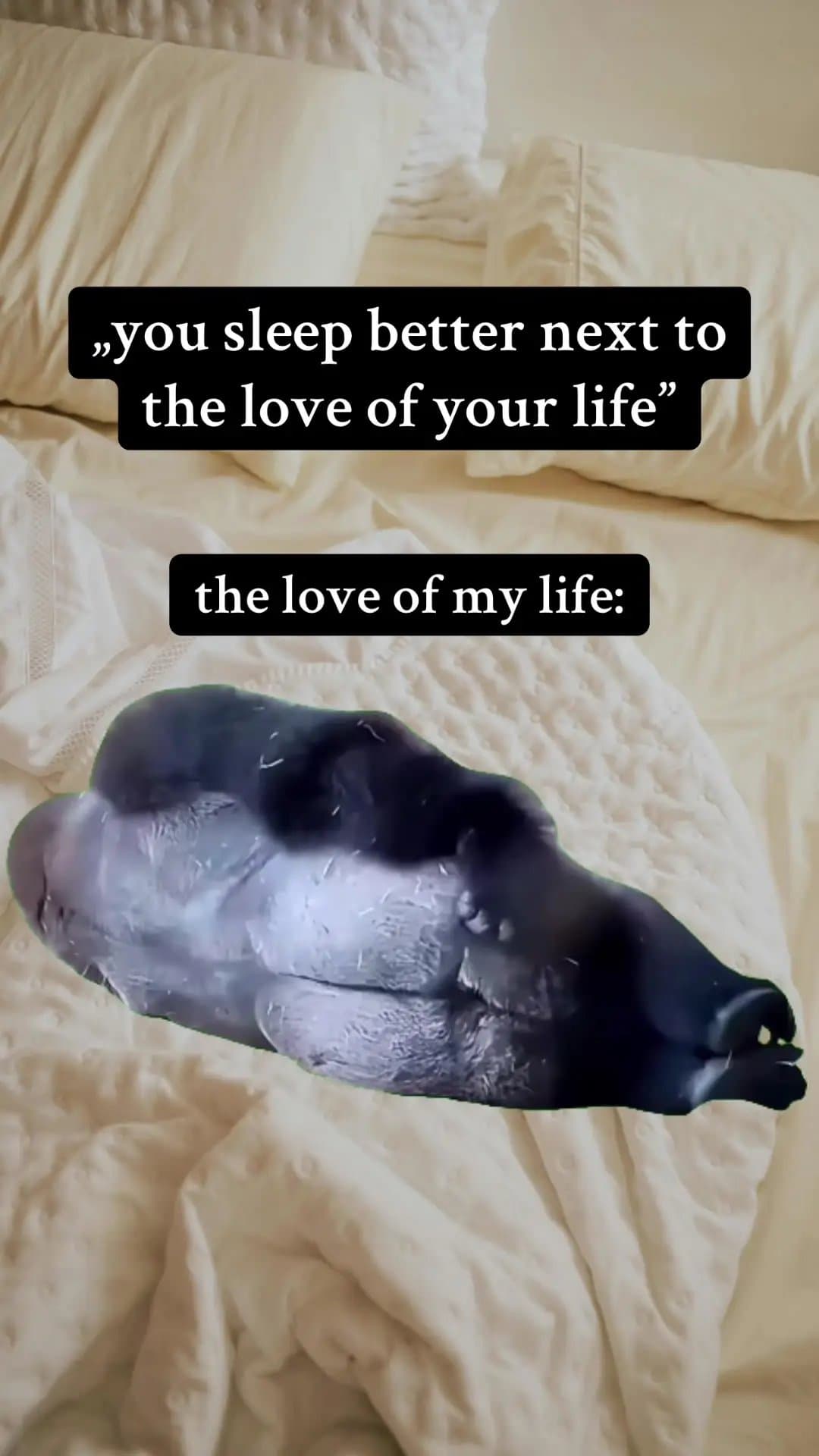 ,,you sleep better next to
the love of your life"