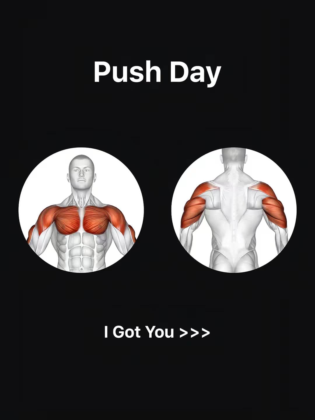 Push Day
I Got You >>>