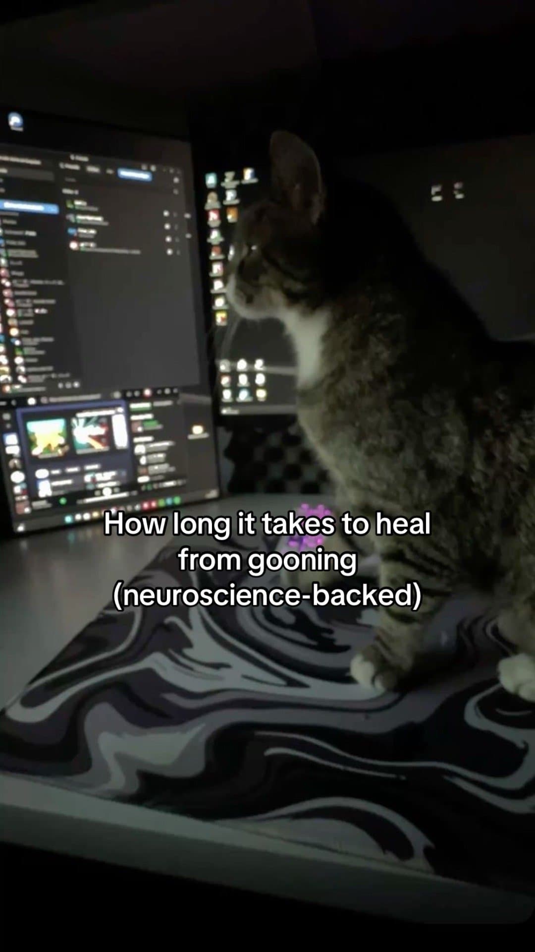 How long it takes to heal
from gooning
(neuroscience-backed)