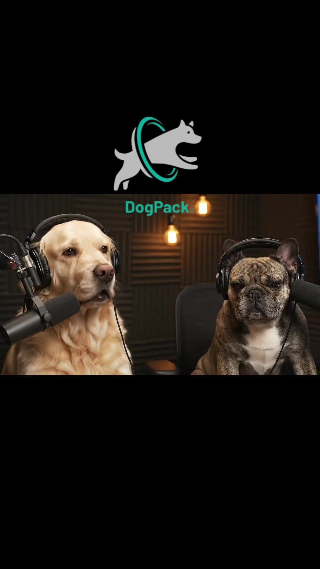 SHE SAID SHE'S 
GETTING ME A
TRAINER TO WORK
ON MY OBEDIENCE DUDE
SHE'S THE ONE …