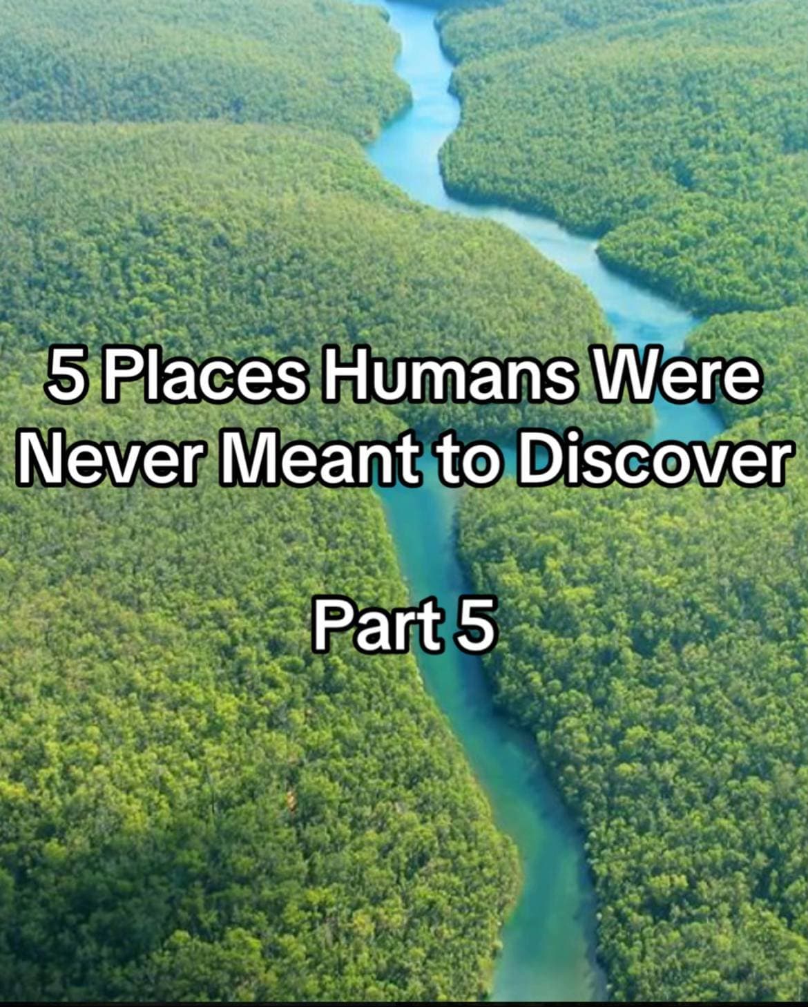 Education & Knowledge viral content