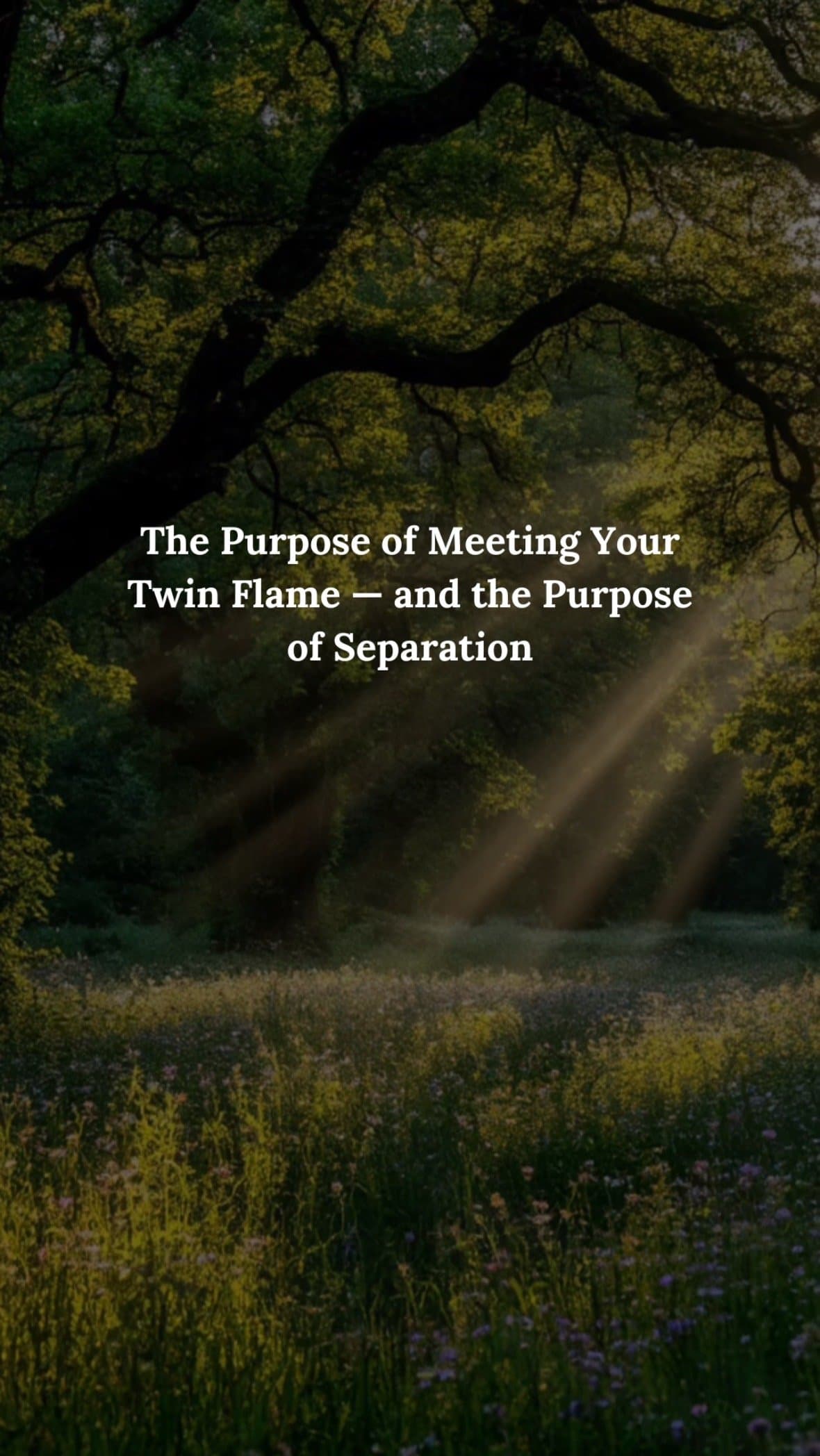 The Purpose of Meeting Your
Twin Flame — and the Purpose
of Separation