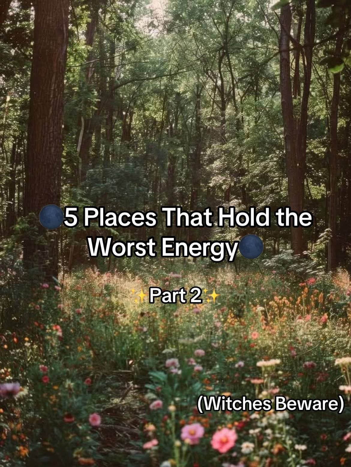 🌑 5 Places That Hold the
Worst Energy 🌑

✨ Part 2 ✨

(Witches Beware)