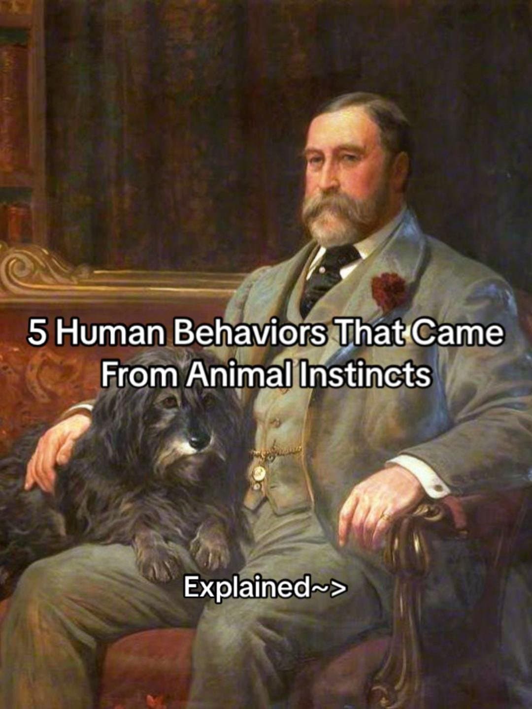 5 Human Behaviors That Came
From Animal Instincts
Explained~>