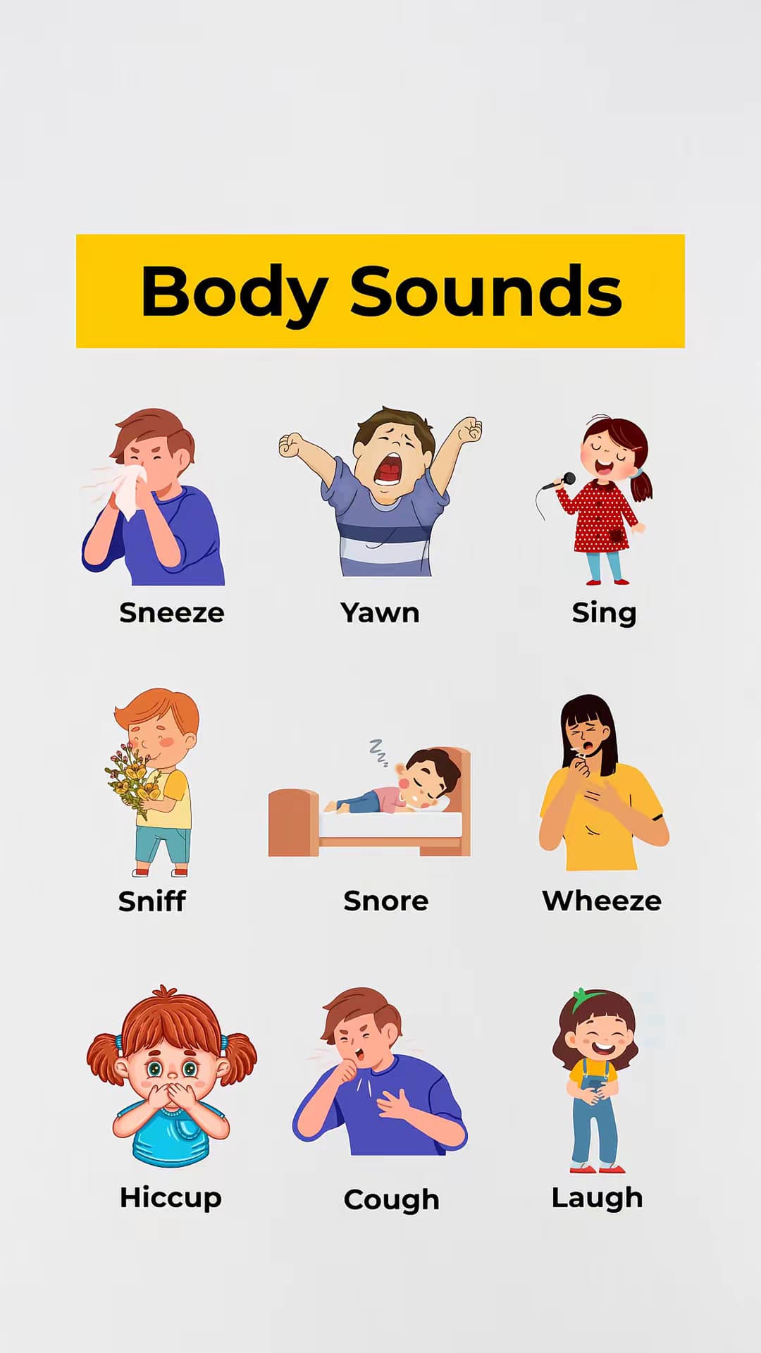 Body Sounds
Sneeze
Yawn
Sing
Sniff
Snore
Wheeze
Hiccup
Cough
Laugh
