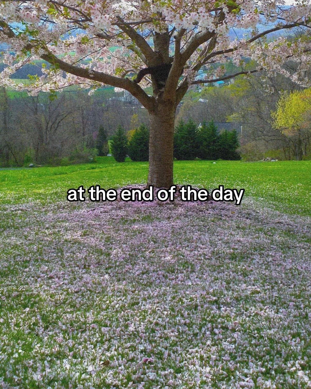 at the end of the day