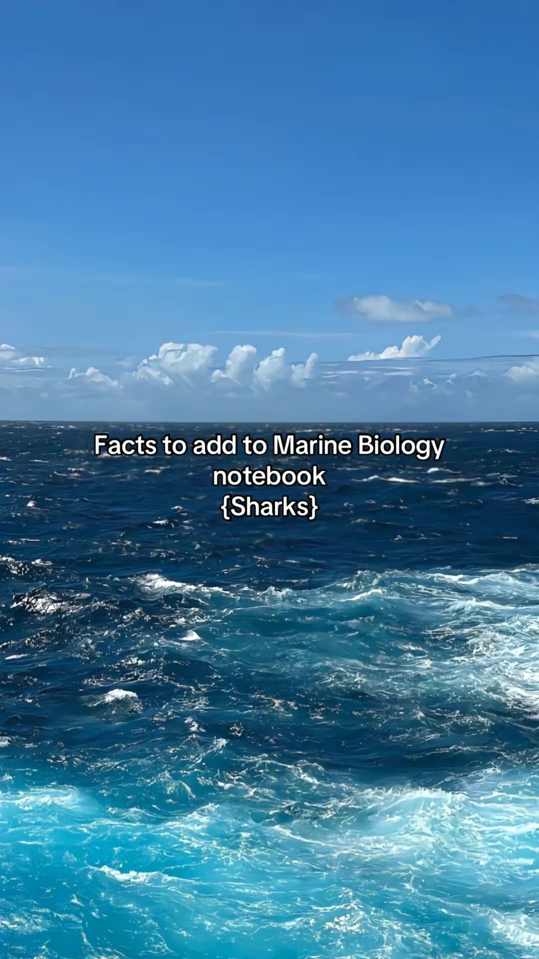 Facts to add to Marine Biology
notebook
{Sharks}