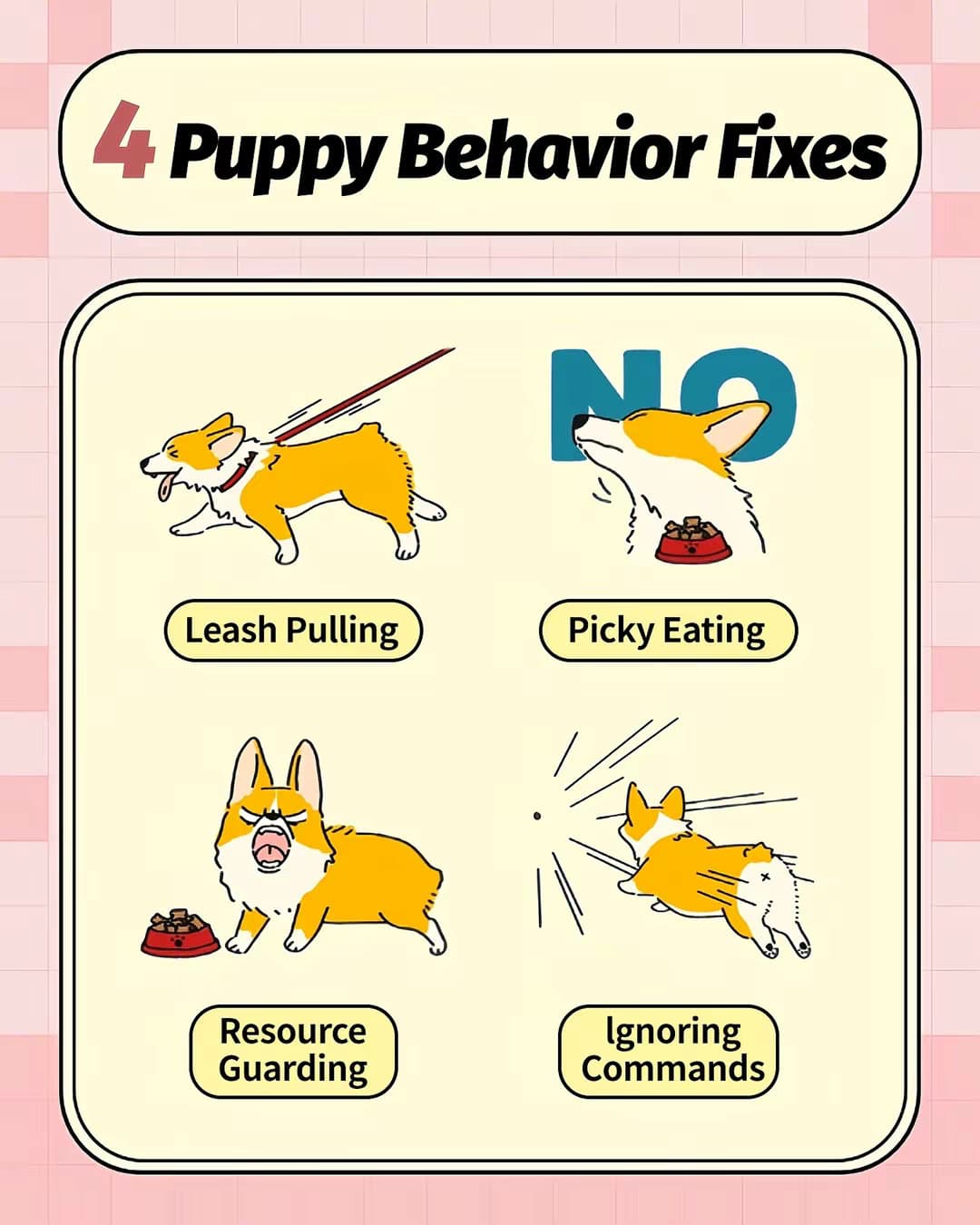 4 Puppy Behavior Fixes
Leash Pulling
Picky Eating
Resource Guarding
Ignoring Comβ¦