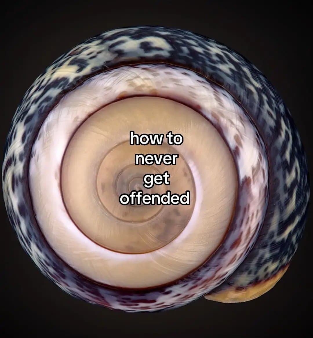 how to
never
get
offended