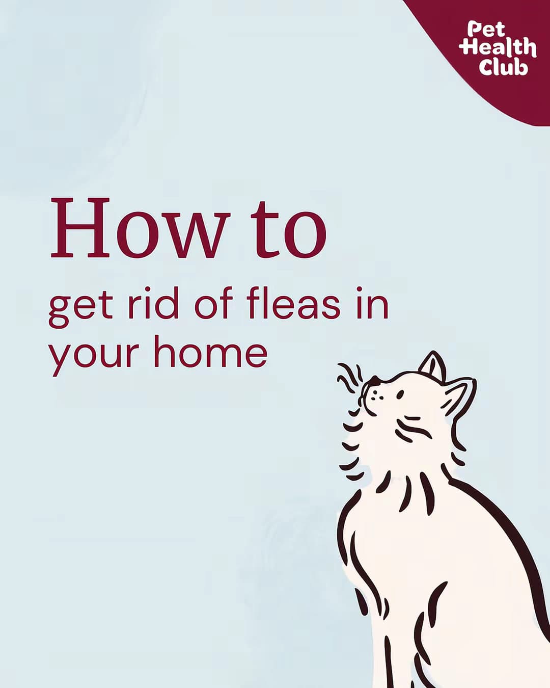 How to
get rid of fleas in
your home