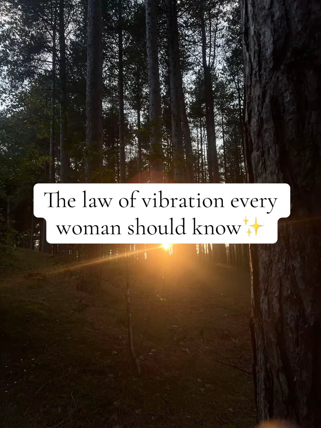 The law of vibration every
woman should know✨
