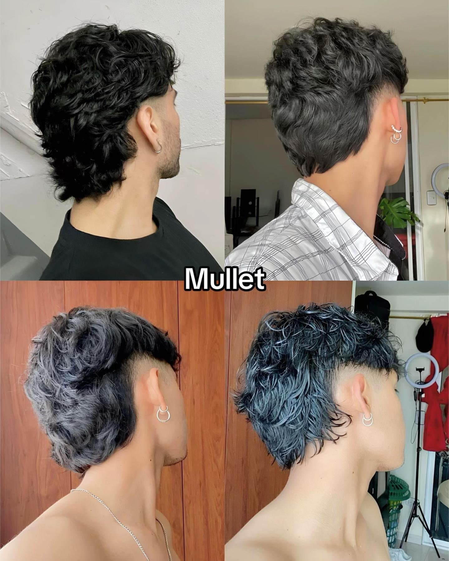 Mullet