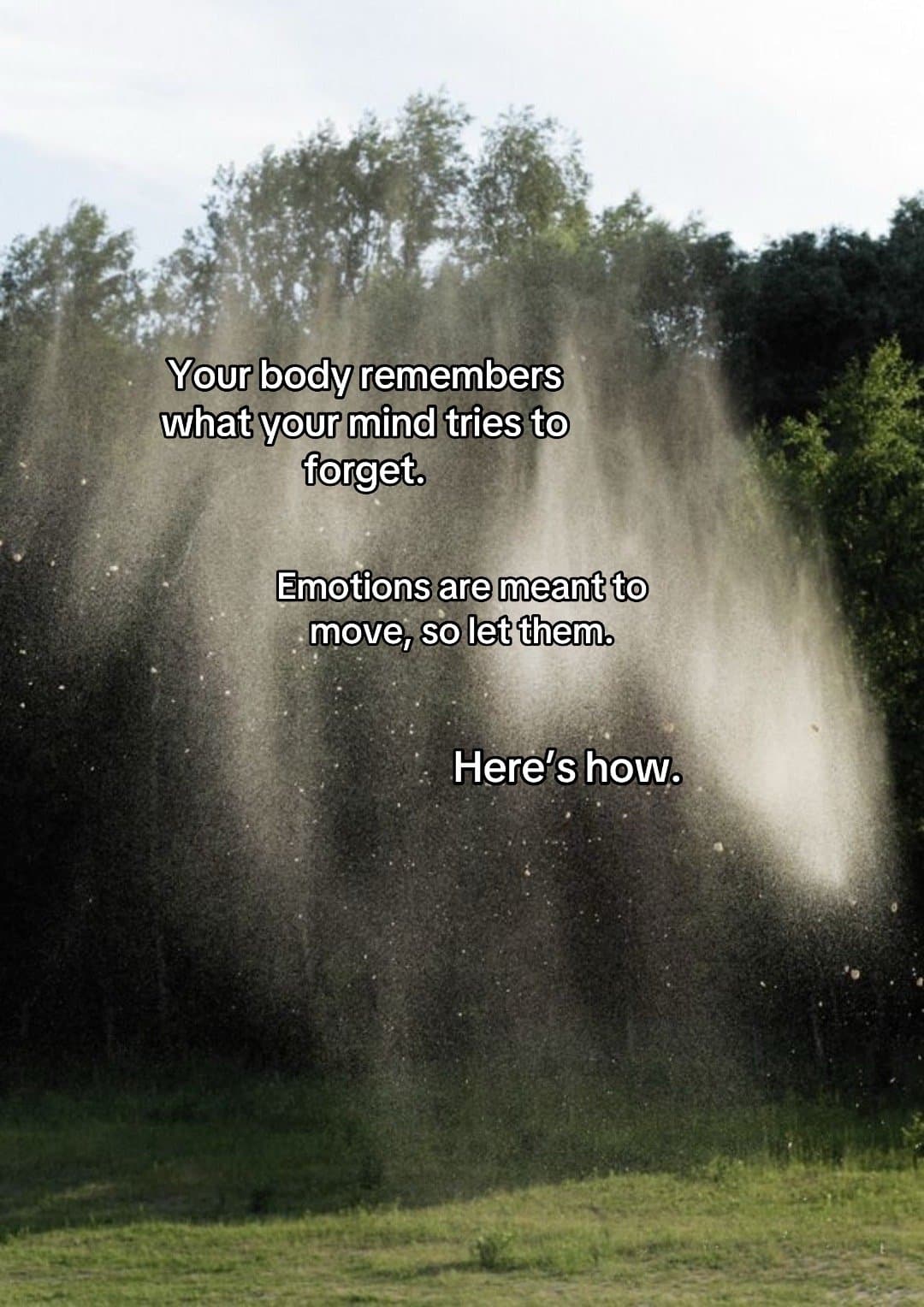 Your body remembers
what your mind tries to
forget.
Emotions are meant to
move,…