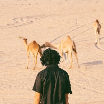 Creator profile photo